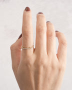 Anillo Flow