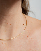 Collar Omega