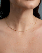 Collar Omega