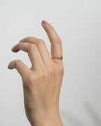 Anillo Éclat Link