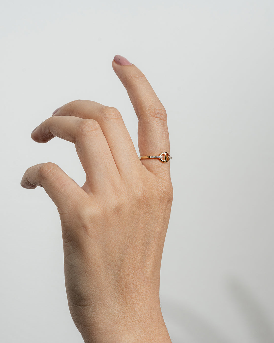 Anillo Éclat Link
