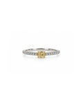 Anillo Soleil