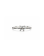 Anillo Bloom