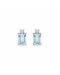 Aretes Aqua