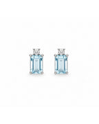 Aretes Aqua